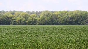 Iowa farmland