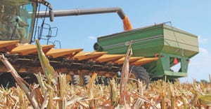 JM-corn-harvest-5220-staff-dfp.jpg