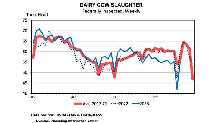 sat-dairy-cow-slaughter.jpeg