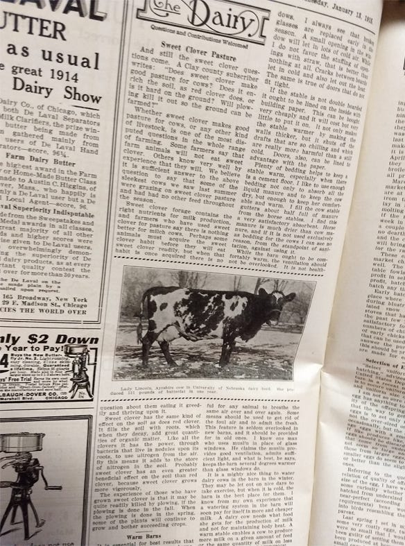 1915 Nebraska Farmer article offering ways for farmers to keep their dairy barns warmer 