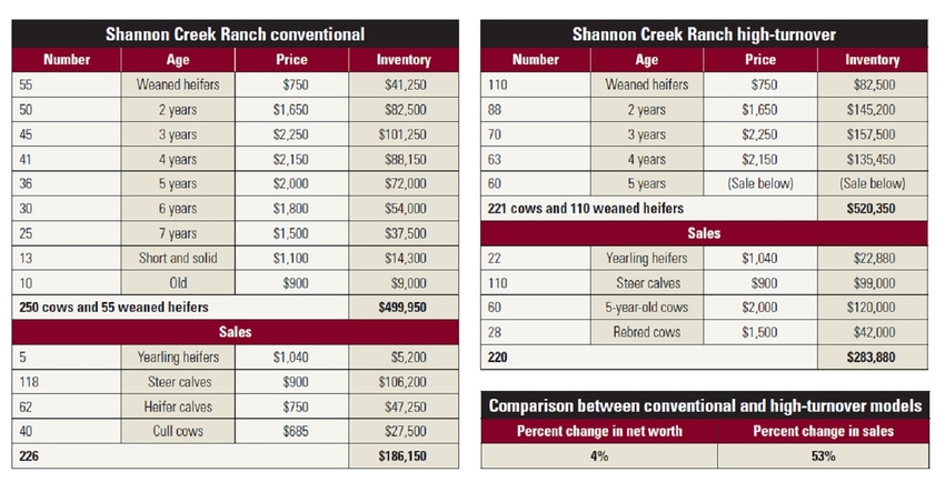 Shannon Ranch tables of cow values & sales