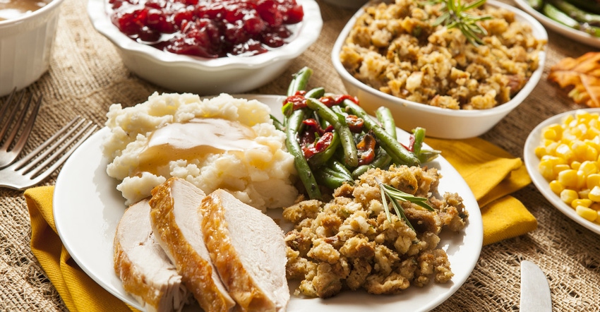 thanksgiving-plate-GettyImages-450705255.jpg