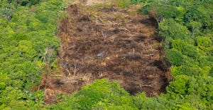 Deforestation in the Amazon. Burned area surrounded by green area.