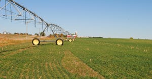 Cover crops and irrigation equipment