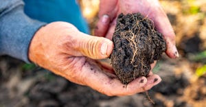 hand holding clump of soil with roots