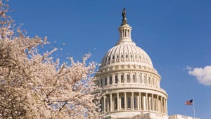 U.S. capitol building with cherry blossoms