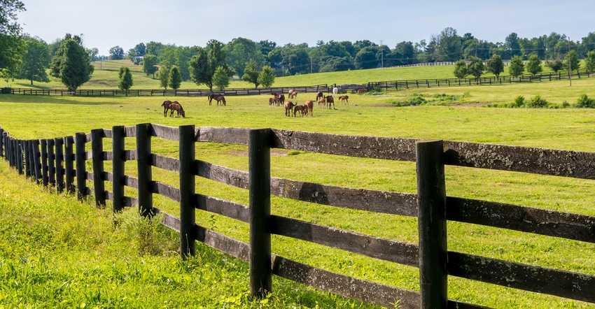 fence surrounding horses grazing