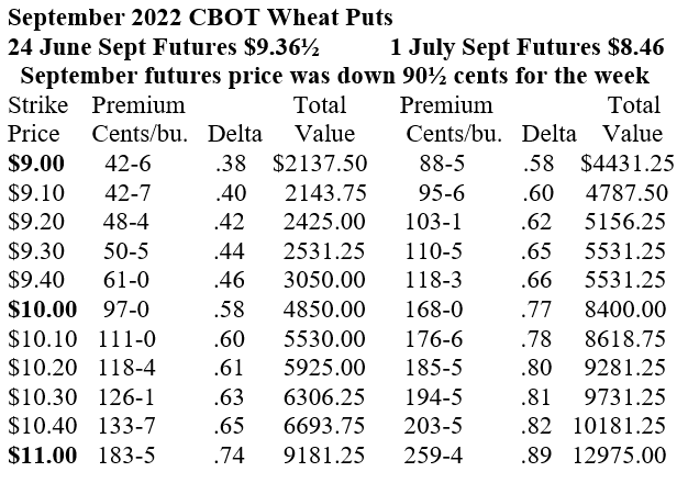 September 2022 CBOT wheat puts 