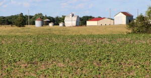 soybean field with farmstead in background