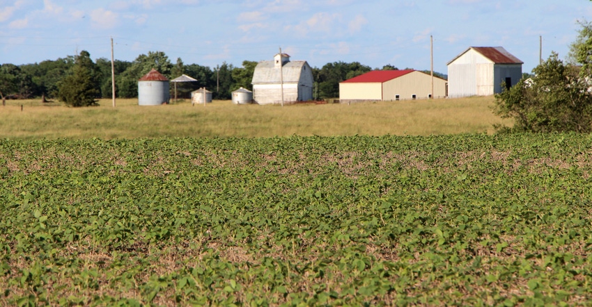 soybean field with farmstead in background