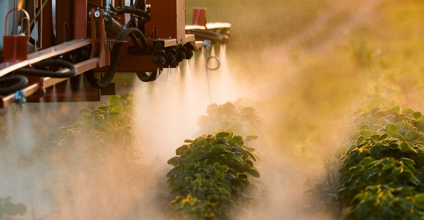 soybean field being sprayed