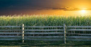 A wooden field with a corn field behind it and the sun setting in the sky