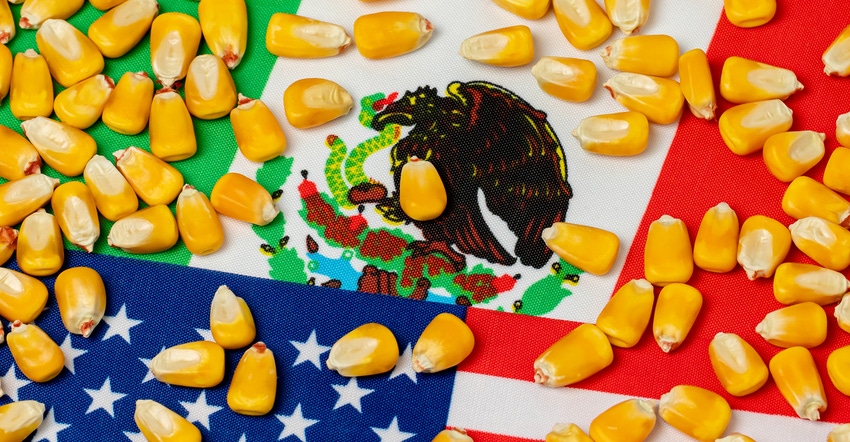 United States of America and Mexico flags and corn kernals United States of America and Mexico flags and corn kernals