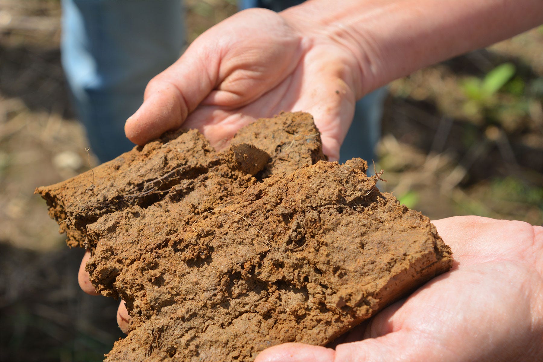 two hands holding a chunk of soil