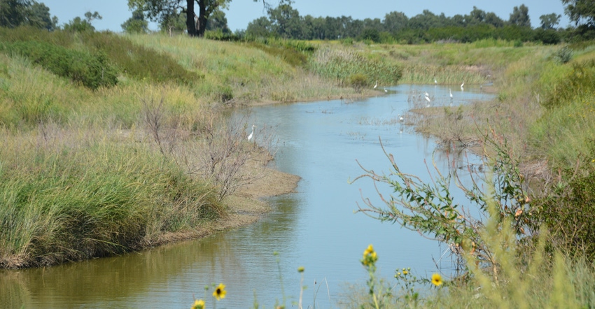 The flow of water into Quivira National Wildlife Refuge from Rattlesnake Creek 