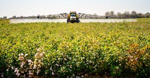spraying pesticides in cotton field in Arizona.