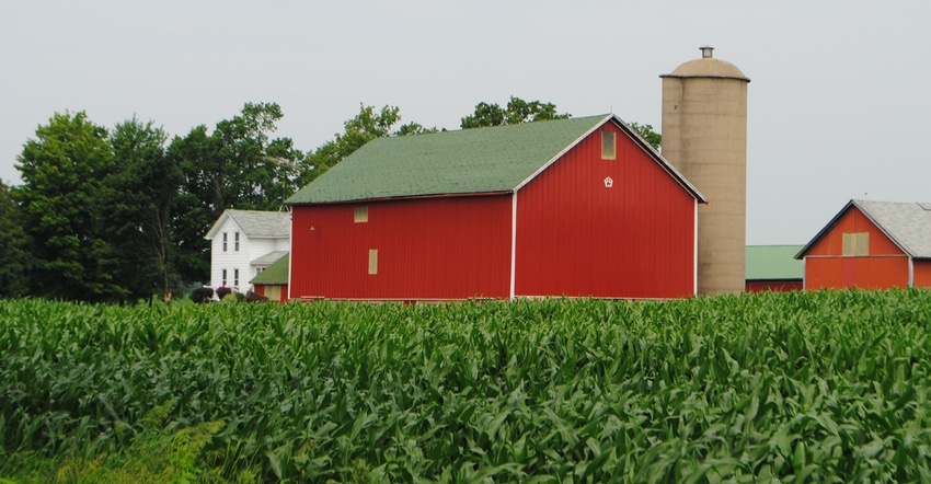 red barn surrounded by corn field