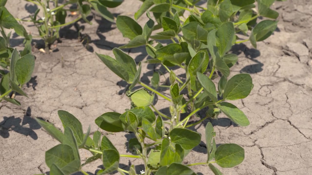 Waypoint Analytical Inside Waypoint Analytical – Memphis’s hometown-grown agricultural ...