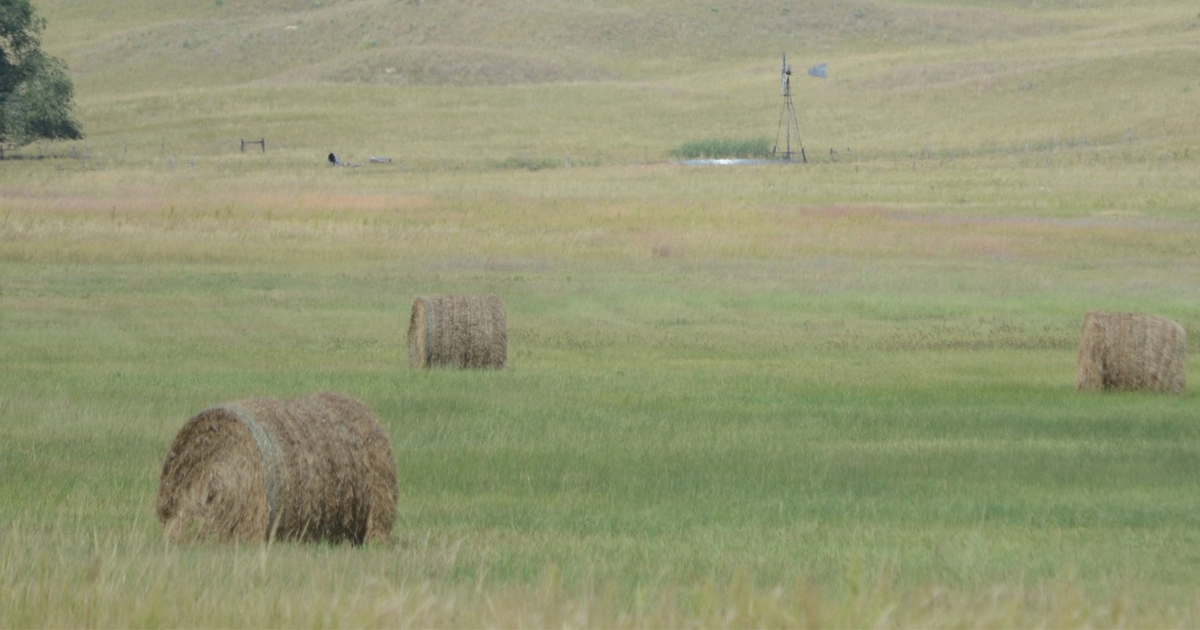 Keep it Tight; Store Hay Right