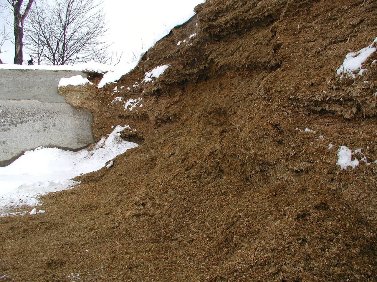 Tom Kilcer - Pile of feedout