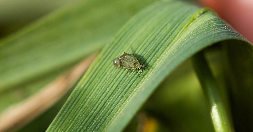 todd-johnson-2022-pest-management.jpg todd-johnson-2022-pest-management.jpg