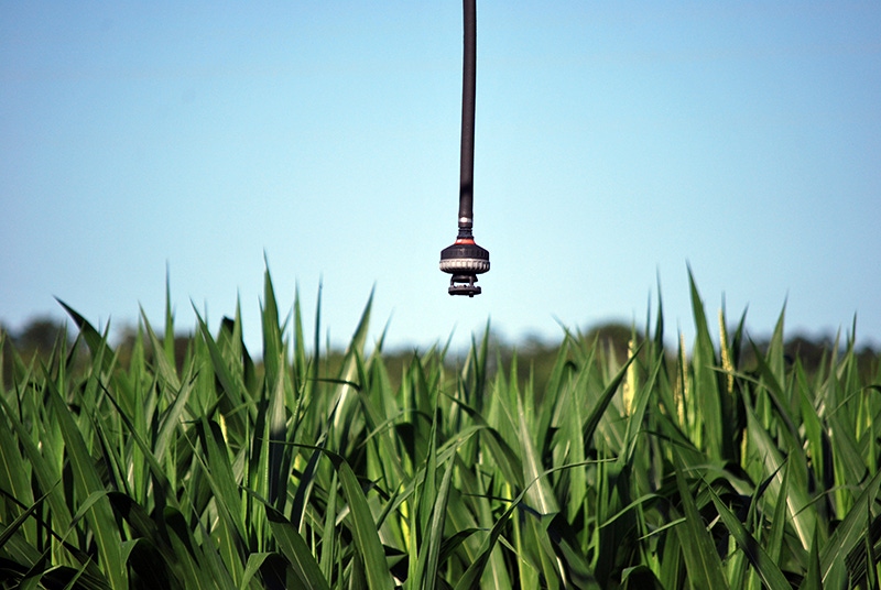 haire-irrigation-nozzle-corn.JPG