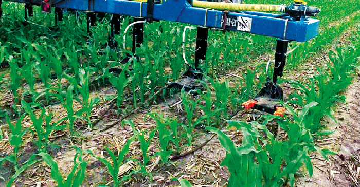 360 Y-DROP Sidedress Close Up in Small Corn_770x400.gif