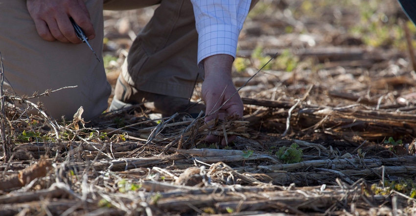 man kneeling down with hand in the soil
