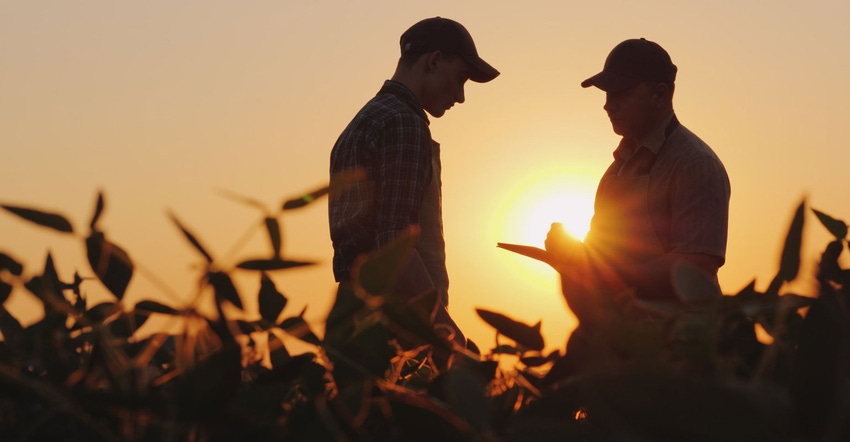 Two farmers talk on the field