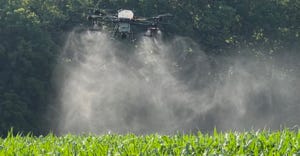 drone spraying corn field