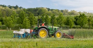 Rolling cover crops are an alternative method to using burndown in organic farming systems