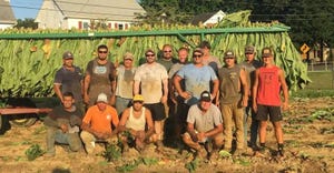 harvest crew at Harnish Farms gathers together after this year’s tobacco harvest