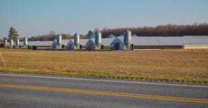 Landscape view of poultry barns