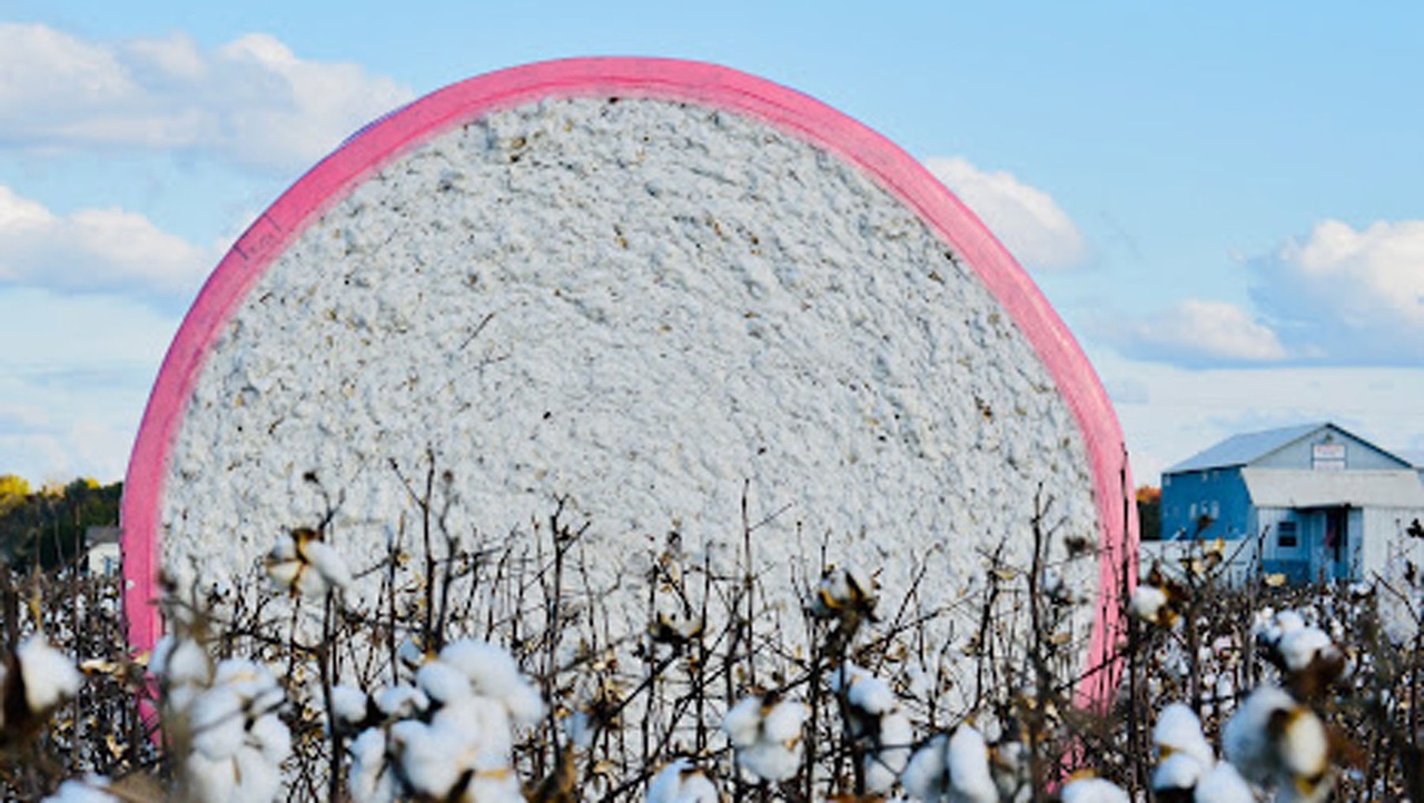 Prevent plastic contamination in cotton