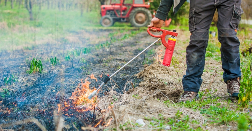 farmer using a torch to do a field burn