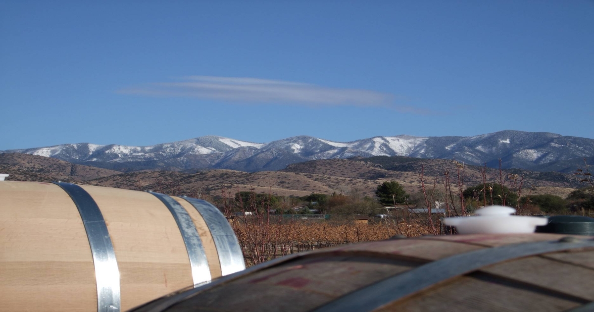 Growers continue to advance the art of growing wine grapes in Arizona’