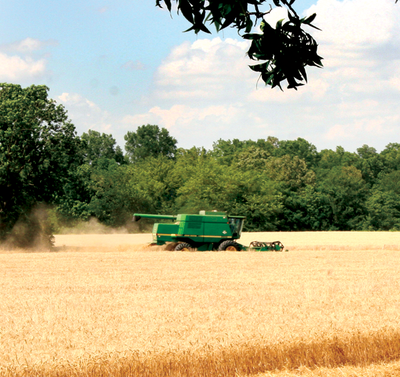 WHEAT-HARVEST.png WHEAT-HARVEST.png