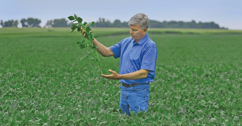 Mark Jackson standing in field holding plant