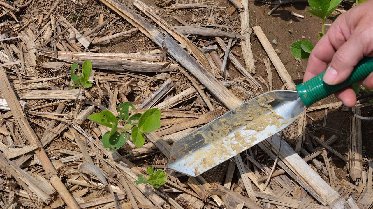 Common Trowel Mistakes to Avoid