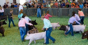 Competition at the Kansas State Fair