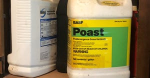 container of BASF postemergence grass herbicide