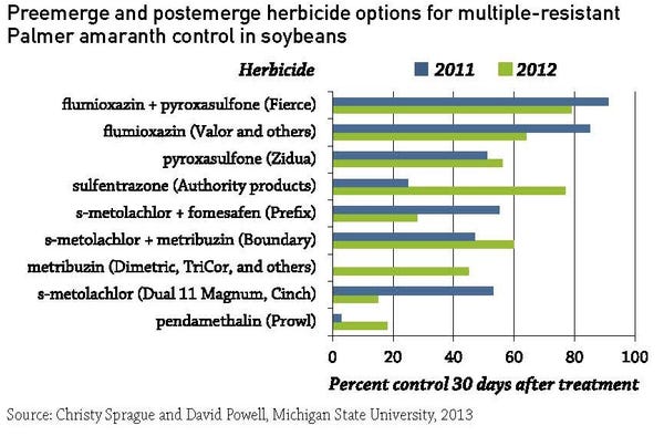 preemerge and postemerge options to control Palmer amaranth in soybeans