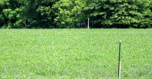 A farm field with survey stakes showing lot lines