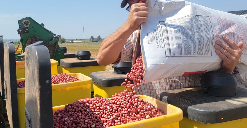 loading the peanut planter