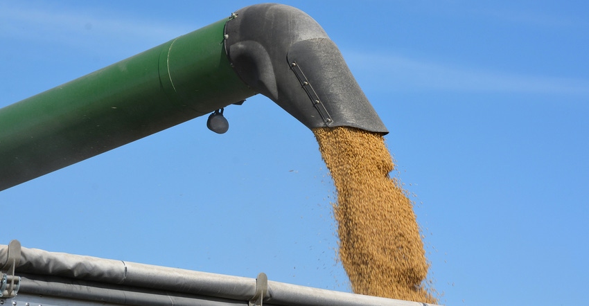 auger loading soybeans into cart
