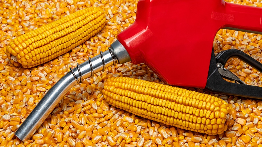 Corn with fuel pump handle representing ethanol fuel