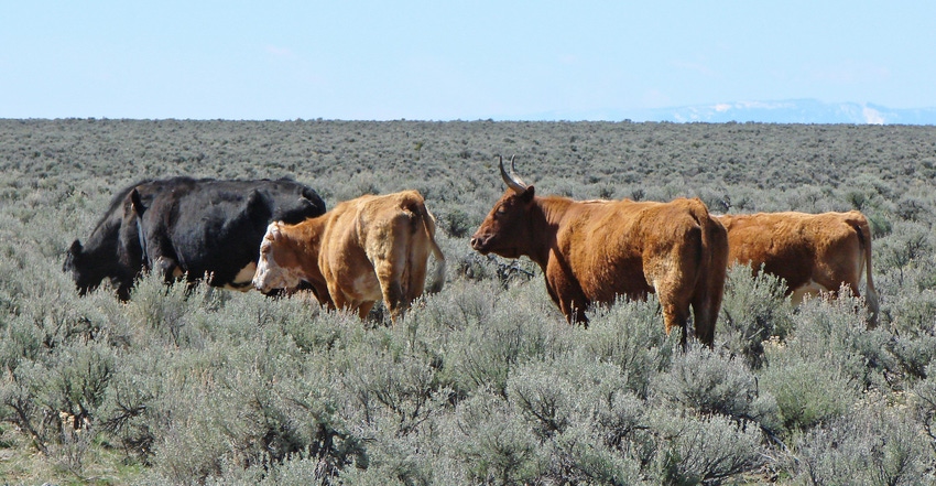 WFP-ARS=oregon-cattle-grazing.jpg WFP-ARS=oregon-cattle-grazing.jpg