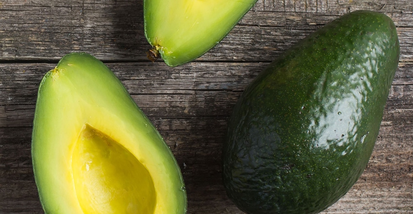 avocados-agrilife.jpg avocados-agrilife.jpg