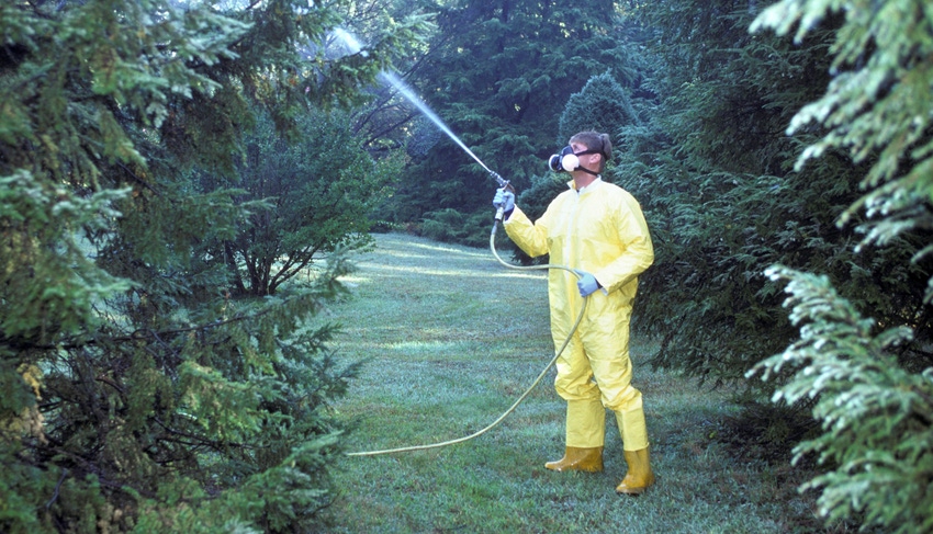 Less toxic pesticides sprayed on trees