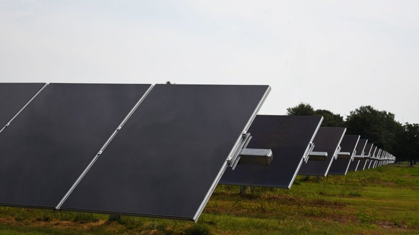 Rows of solar panels in a green field.